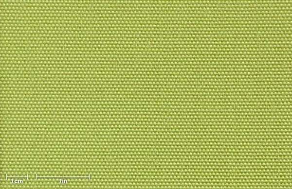 2417_limette.jpg